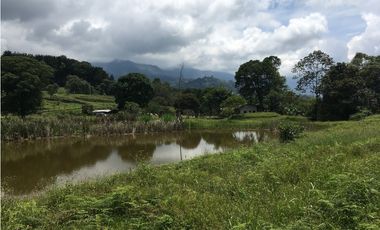 Finca San Francisco cundinamarca