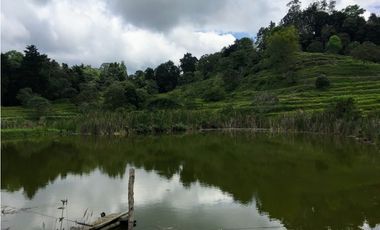 Finca San Francisco cundinamarca