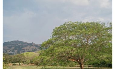 Lote en el Sector de Bolombolo