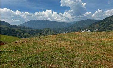 Lote en el Sector de Bolombolo
