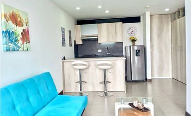 ALQUILER APARTAESTUDIO AMOBLADO ARMENIA EXCLUSIVO BARRIO CASTELLANA