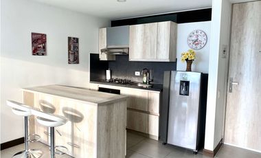 ALQUILER APARTAESTUDIO AMOBLADO ARMENIA EXCLUSIVO BARRIO CASTELLANA