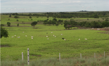VENTA ESPECTACULAR FINCA, PUERTO GAITAN