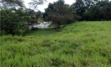 Venta finca, Mariquita