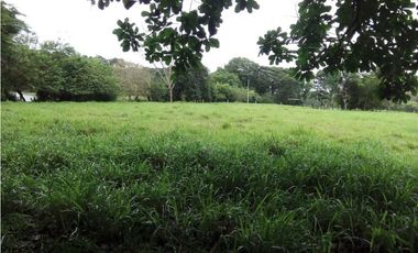 Venta finca, Mariquita