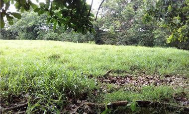 Venta finca, Mariquita