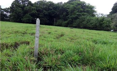 Venta finca, Mariquita