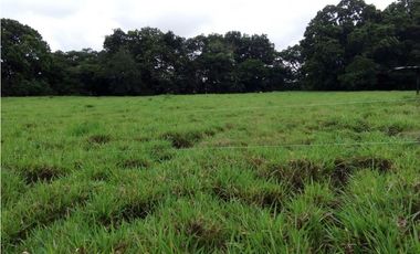 Venta finca, Mariquita