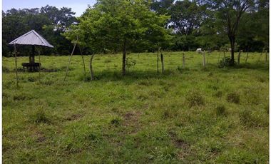 Venta finca, Mariquita