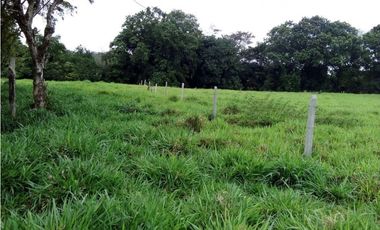 Venta finca, Mariquita