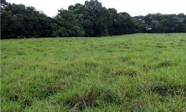 Venta finca, Mariquita