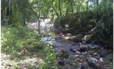 Venta finca, Mariquita