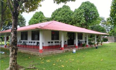 Venta Finca, Puerto Lopez