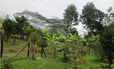 Venta Finca Anolaima, Cundinamarca