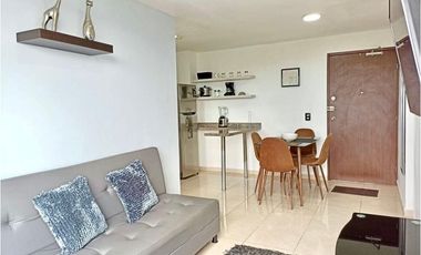 ALQUILER APARTAMENTO AMOBLADO ARMENIA ESPECTACULAR VISTA CAFETERA