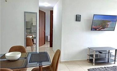 ALQUILER APARTAMENTO AMOBLADO ARMENIA ESPECTACULAR VISTA CAFETERA