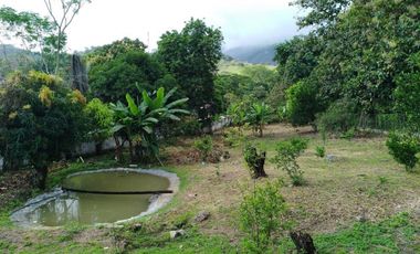 Venta de casa campestre en San jeronimo