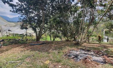 Se Vende Finca a Borde de Carretera Via Bogotá Fusa Sector Bosachoque