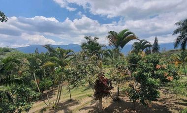 Se Vende Finca a Borde de Carretera Via Bogotá Fusa Sector Bosachoque