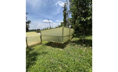 VENTA DE FINCA PRODUCTORA DE CAFE, PLATANO Y TURISMO