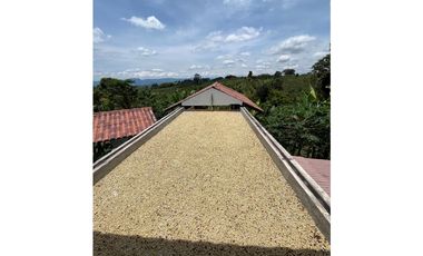 VENTA DE FINCA PRODUCTORA DE CAFE, PLATANO Y TURISMO