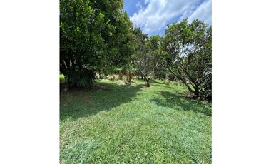 VENTA DE FINCA PRODUCTORA DE CAFE, PLATANO Y TURISMO