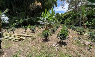 VENTA DE FINCA PRODUCTORA DE CAFE, PLATANO Y TURISMO