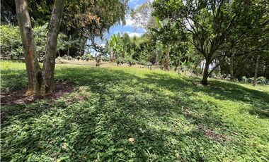 VENTA DE FINCA PRODUCTORA DE CAFE, PLATANO Y TURISMO
