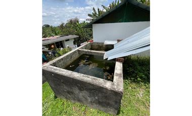 VENTA DE FINCA PRODUCTORA DE CAFE, PLATANO Y TURISMO