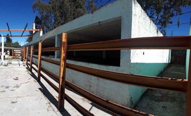 SE VENDE RANCHO NISPEROS, SANTA RITA TLAHUAPAN,