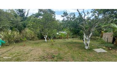 CASA CAMPESTRE EN GUACARI VALLE EN VENTA