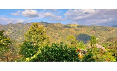 Vendo Linda Finca con Excelente vista