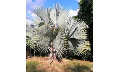 Vendo Linda Finca con Excelente vista