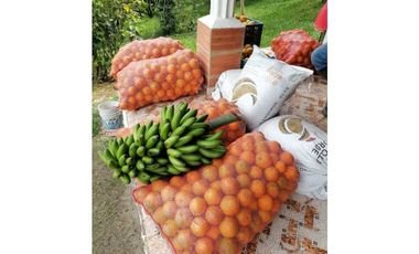 Vendo Linda Finca con Excelente vista