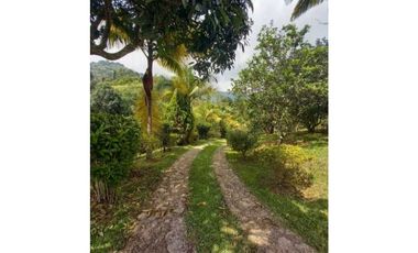 Vendo Linda Finca con Excelente vista