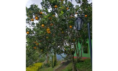 Vendo Linda Finca con Excelente vista