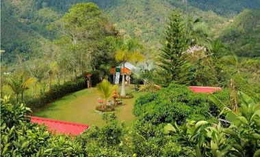 Vendo Linda Finca con Excelente vista