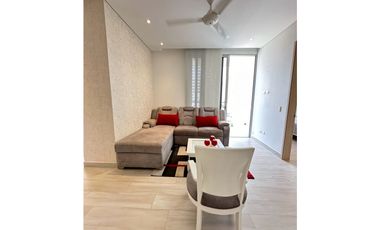 Arriendo apartamento en playa salguero
