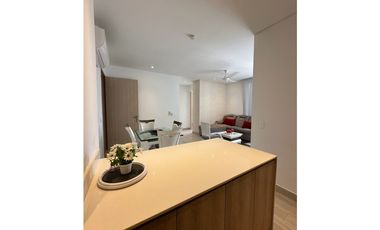 Arriendo apartamento en playa salguero