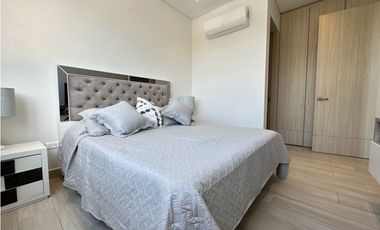 Arriendo apartamento en playa salguero