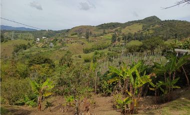 FINCA EN VENTA GUATAPÉ ANTIOQUIA