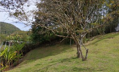 FINCA EN VENTA GUATAPÉ ANTIOQUIA
