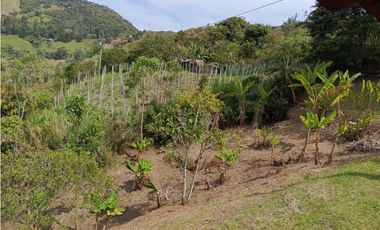 FINCA EN VENTA GUATAPÉ ANTIOQUIA