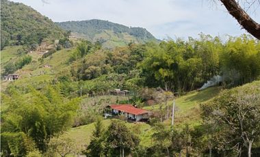 FINCA EN VENTA GUATAPÉ ANTIOQUIA