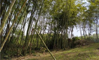 FINCA EN VENTA GUATAPÉ ANTIOQUIA