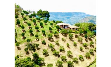 Finca para la venta en Santa Barbara Antioquia