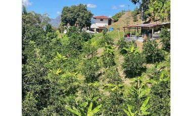 Finca para la venta en Santa Barbara Antioquia