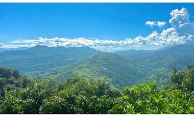 Finca para la venta en Santa Barbara Antioquia