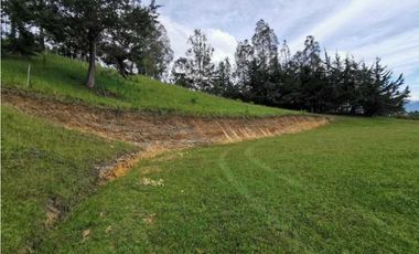 Venta Lote Independiente en La Ceja Chaparral