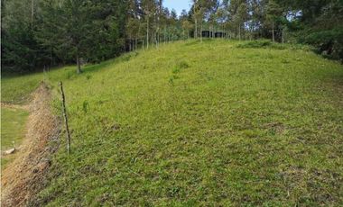 Venta Lote Independiente en La Ceja Chaparral